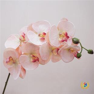 ?�Wʽ���ָб�������m���ҿ͏d��ˇ���s�[�����յ��߻�c��