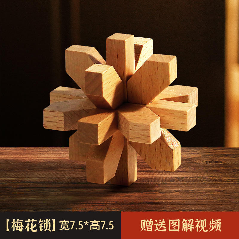 Luban Lock Kongming Lock Juego completo de bloques de construcción de espiga y espiga Juguetes educativos para niños de 8-12 años de edad, quema de cerebro intelectual 10