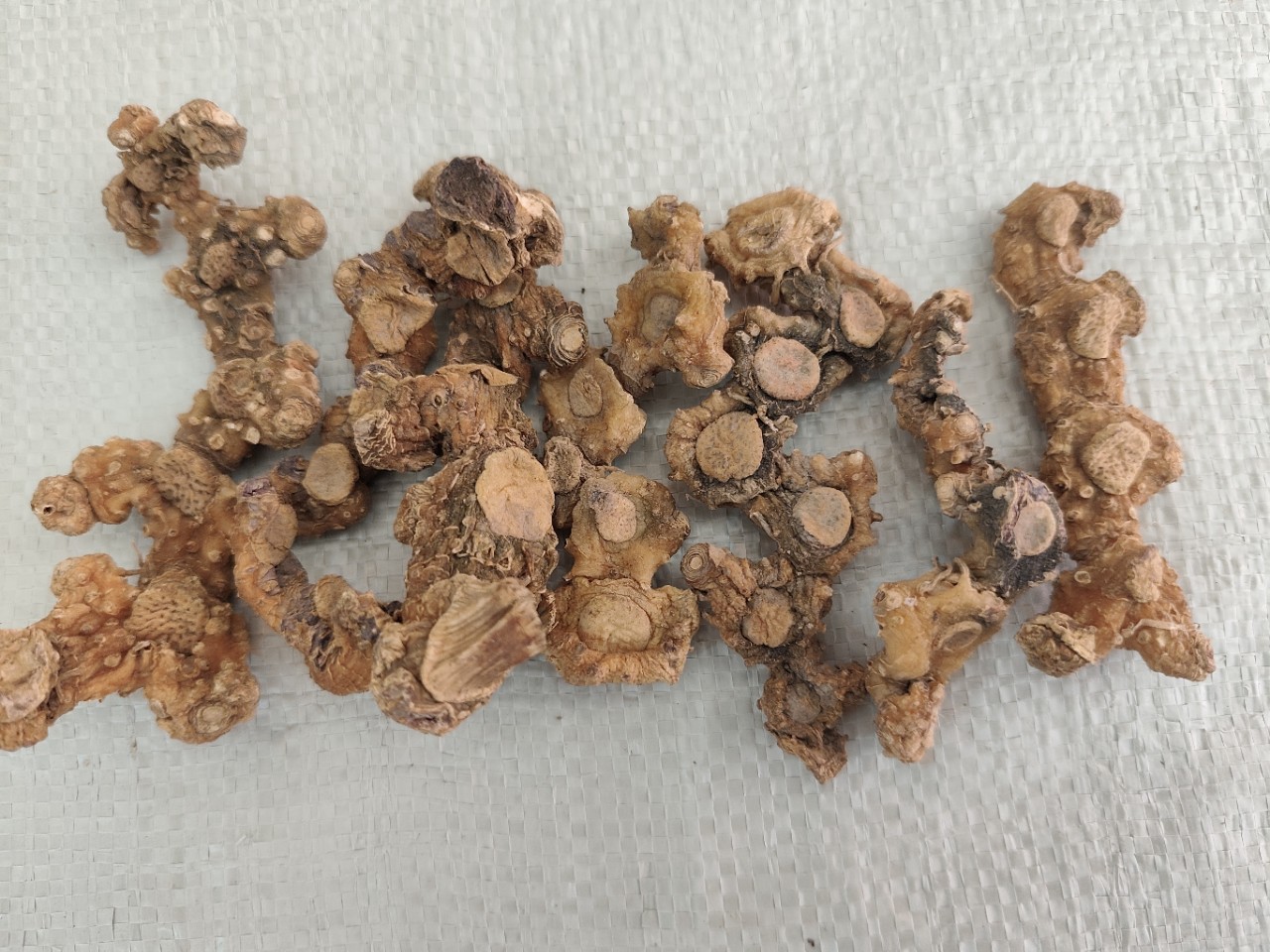 Dried Huangjing Polygonatum Root 500g Guizhou Mountain Herb for Wine Infusion and Cooking quality and texture