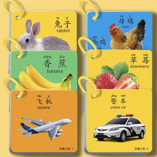 3 boxes: Animal World+Fruit and Vegetables+Transportation World