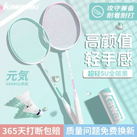 羽毛球拍;羽毛球;乒乓球拍