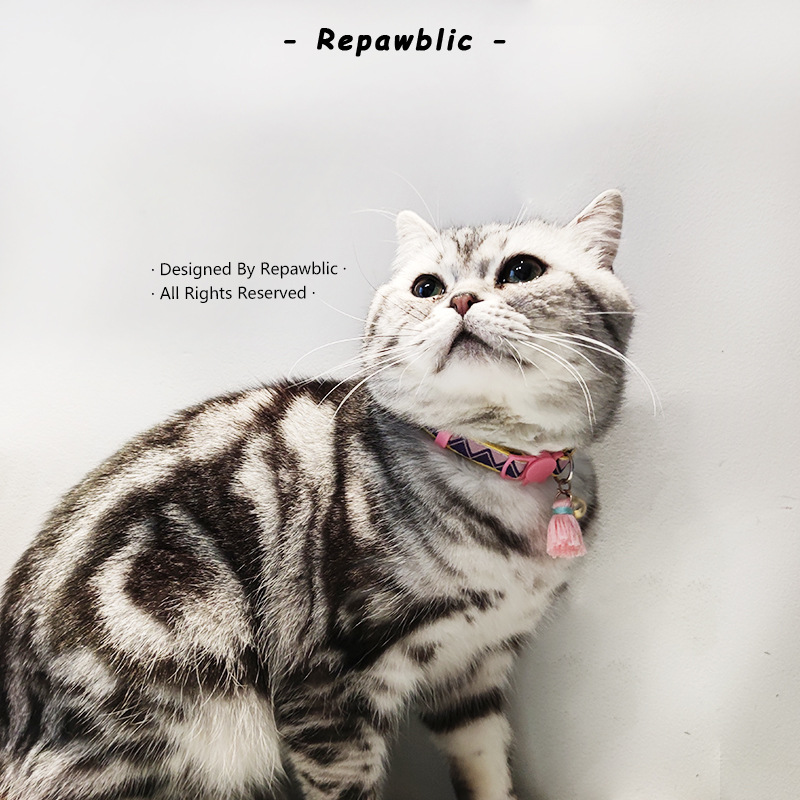 猫项圈模特照 (10).jpg