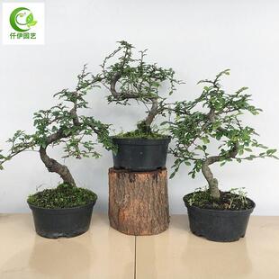 С�~�ܘ��辰 ���ܘ��辰 �ܘ䘶 ���X��.���������Ϙ������ܘ�