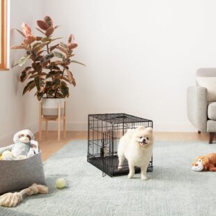 �¿���Fˇ�ۯB���\�����҃ȑ���Ӵ֌����F�\����؈�e������C