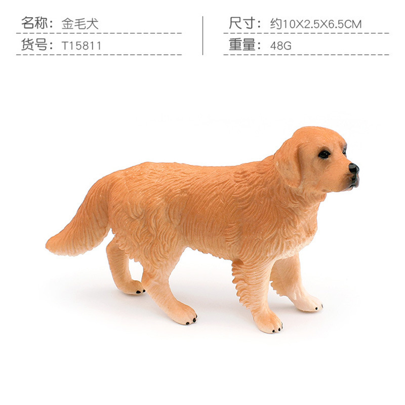 PL127-197 golden retriever 48g