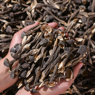 녺ھ�����Ƥ�u���a��؛Դ�˹��u�����Ԍ�؛Դ�д���