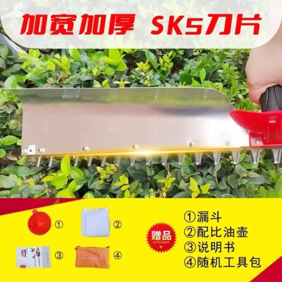 微信图片_20240412164140