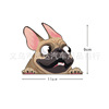 Retroreflective transport, cartoon glossy sticker, internet celebrity, pet