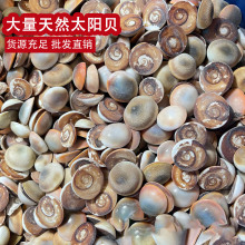 ̫�ؐ�V�ݿ��w ��ȻȻ����ؐ����ʯԭʯ��������˱�DIY�Ʒ