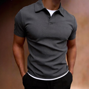 �¿�2026�ļ���ʽpolo����ɫ���䷭�IT�����e�������W���A���