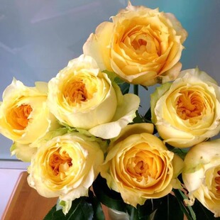 һ�����lꖹ�Ŷ� �¼�õ��С���ļ����Ի�������ֲ���Nޱ��Gֲ