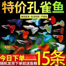��ȸ�~���~�^�p�~���NС�͟Ꭷ�~���w��ˮ���B�ͻ��~���^�p�~С�~