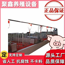 60母猪塞盘料线猪场自动喂料系统精准定量省时省料防腐耐用运行稳