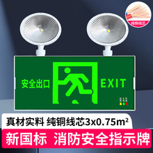 Ӧ����������������ͣ�����˫ͷ����ɢ������һ��ȫ����ָʾ��
