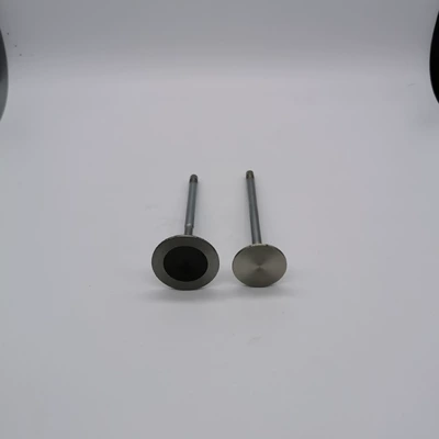Standard Intake and Valve components