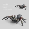 845 Big Spider 67G