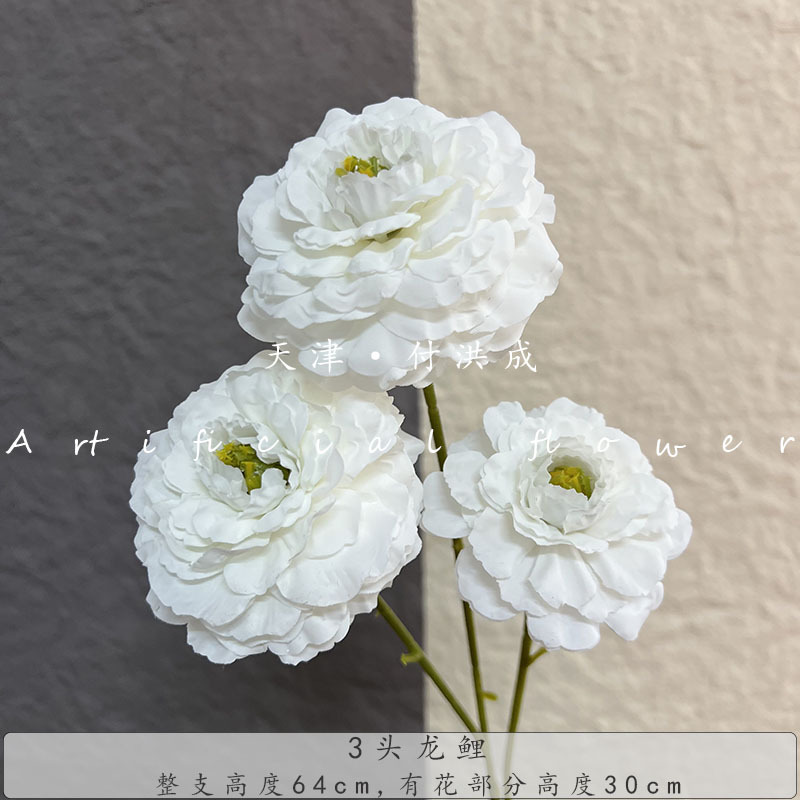 용잉어 3마리