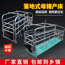 ���ʽĸ�i�a���p�w�a�����Æ��w���ױ���һ�w�a���Bֳ�i�����䴲