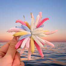 �Շ��в�ɫ���l�⟟��ŤŤ���l�AŮ�¿������l�߅�A�Ӱl��