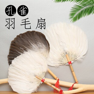 ��ë���ļ�������ʽ�Ž��ֹ������Zë�����T�����Ї��L�����赸��