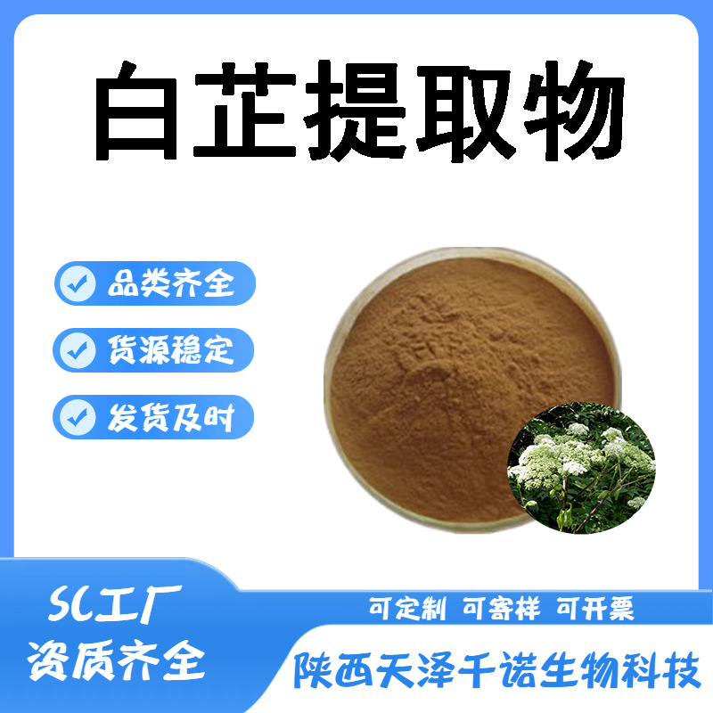 白芷提取物10:1 30:1川白芷粉 水溶粉喷雾干燥现货1 白芷多糖