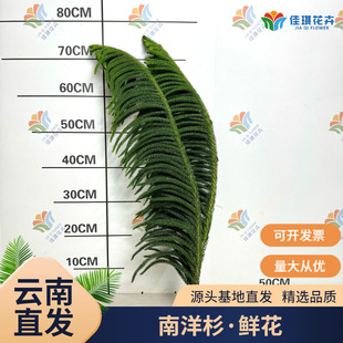 ����ɼ�r��֦�l��c�����r���Gɫ����ˮ�B�Gֲ�}�Q��С�������b�