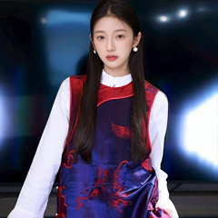 新中式漂亮独特高级感刺绣背心女秋季新款国风宽松坎肩马甲 N8030