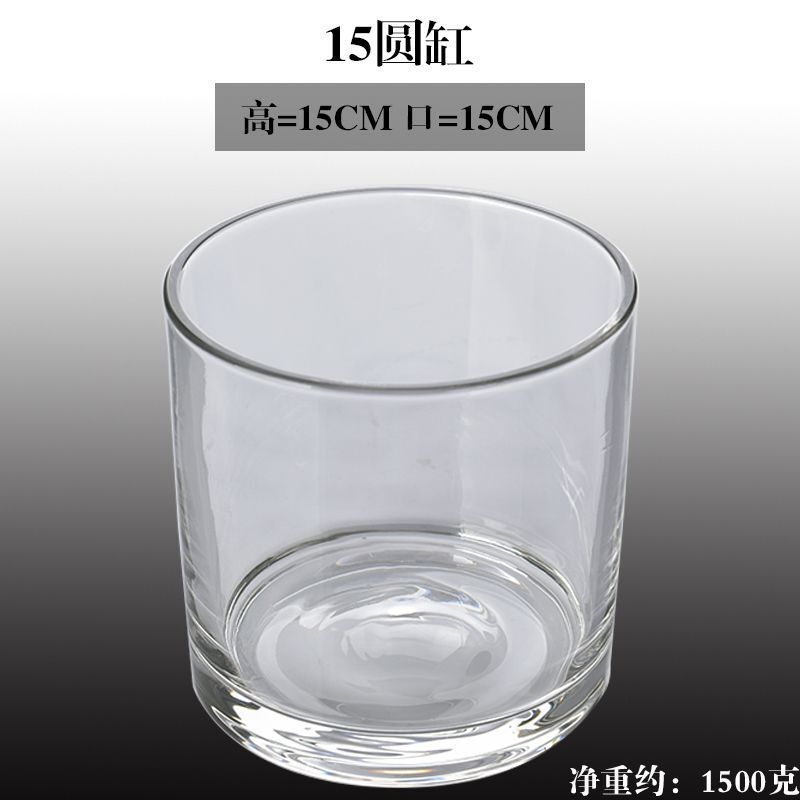 水培郁金香花盆正方形玻璃花瓶透明绿萝水养植物乌龟方缸摆件插花|undefined