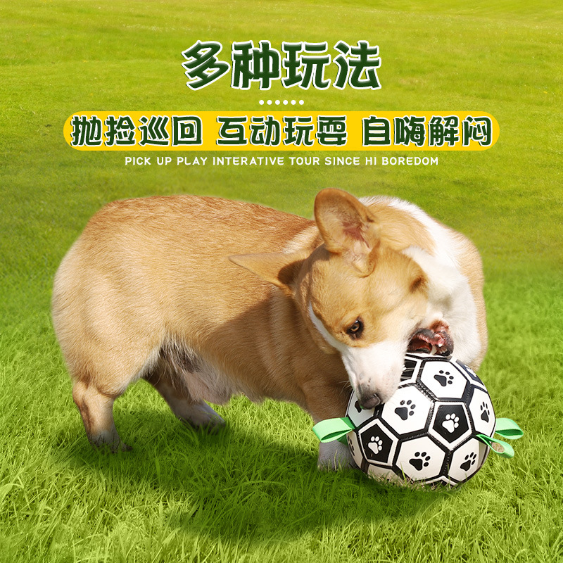 Borde de la bola del perro cría de animales juguete Golden Retriever Labrador Corgi entrenamiento del perro Bola Especial para mascotas bola juguete para perros suministros para mascotas image 5