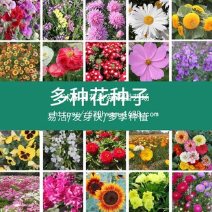 �ױ���N���ļ����N�P�ɻ����տ�������N��̫ꖻ��N�Ӽ�ͥ�@ˇ