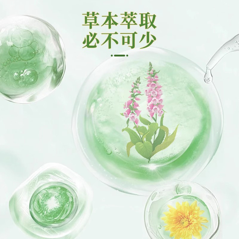 精优选杞菊地黄决明子片 草本精华现货供应 源头厂家支持批发|undefined