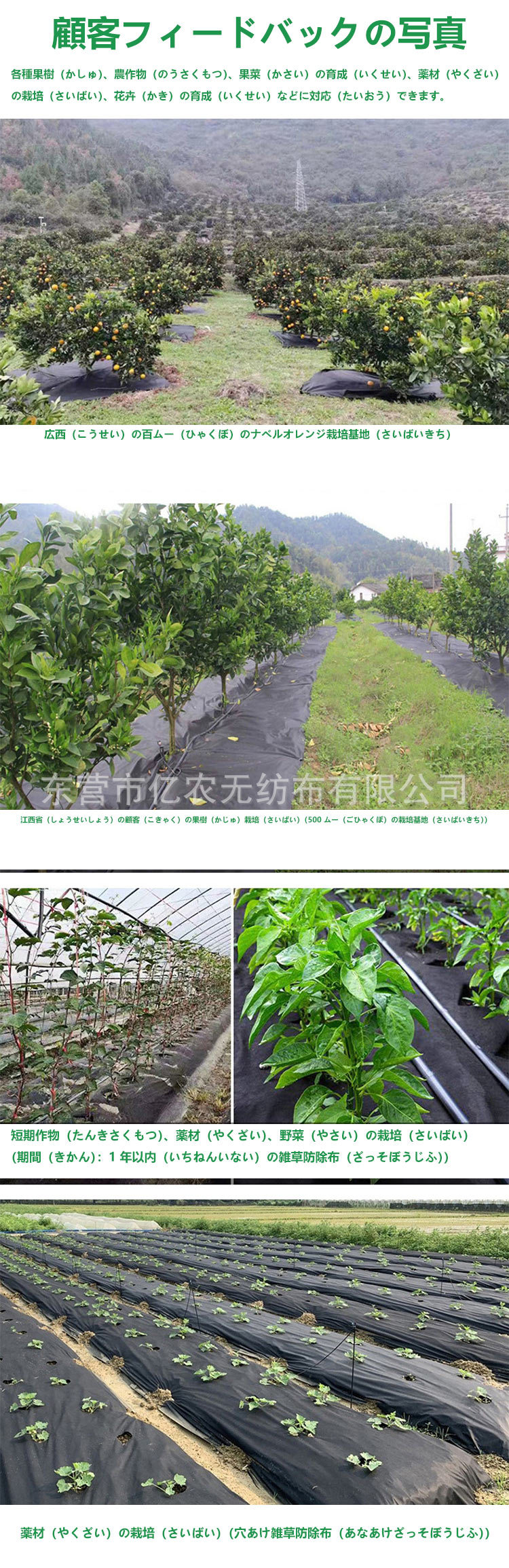 O1CN01HYhv0T1bWgaDRIzhu_!!2924243473-0-cib.jpg?__r__=1744185953027