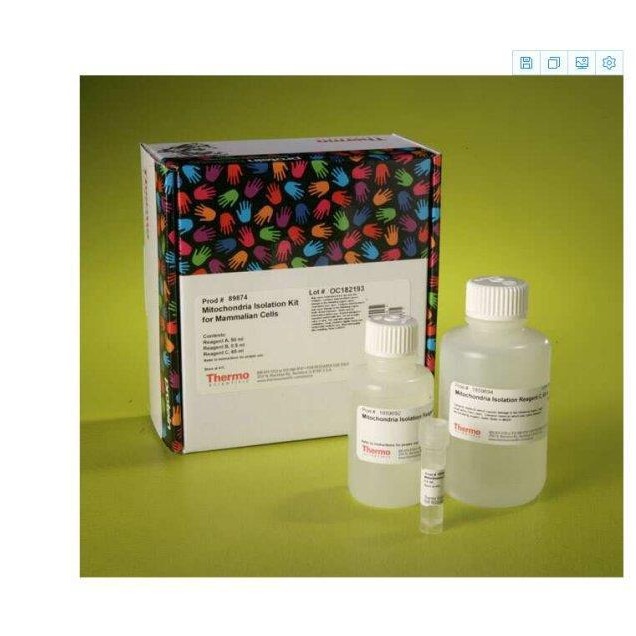 thermo 20148赛默飞LightShift化学发光EMSA试剂盒