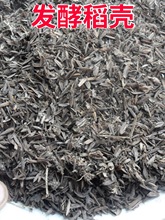 �l�͸��쵾����������͸�������������|ֲ�ﻨ�܌�ͨ���¼��I�B��