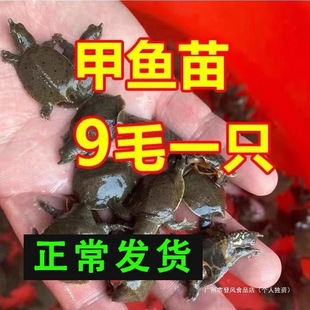 �������B���A���~���M���r��F�~ˮ�~�����������~���D100ֻ���]