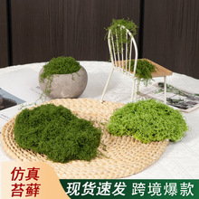 亚马逊TEMU跨境逼真自然人造仿真苔藓绿植户外苔藓微景观环保造景
