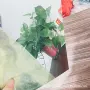 定制抛光1060金色铝卷