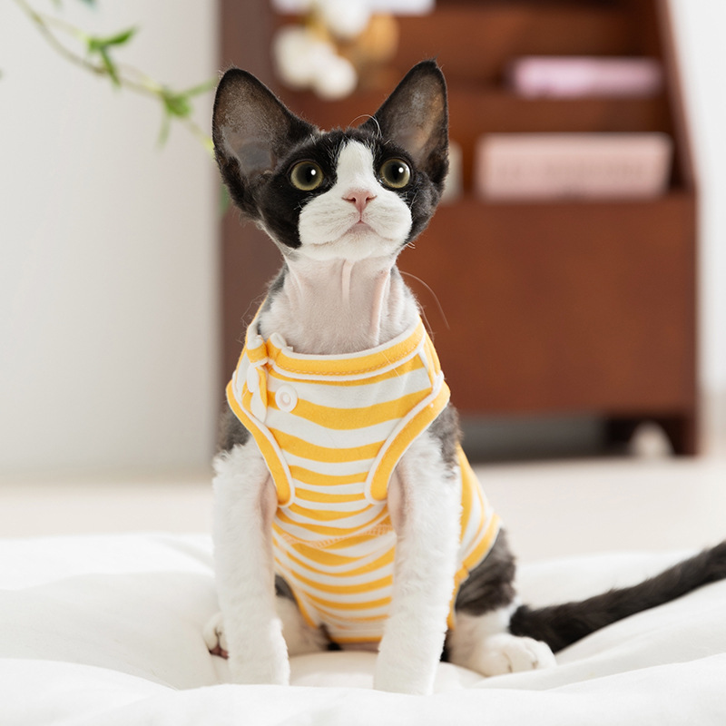 Ropa de gato, chaleco sin mangas cómodo de verano, habitación con aire acondicionado para perros pequeños y medianos