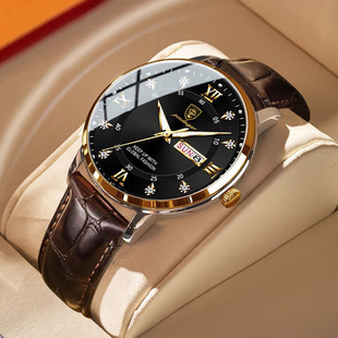 Waterproof swiss watch, belt, quartz watches, Switzerland