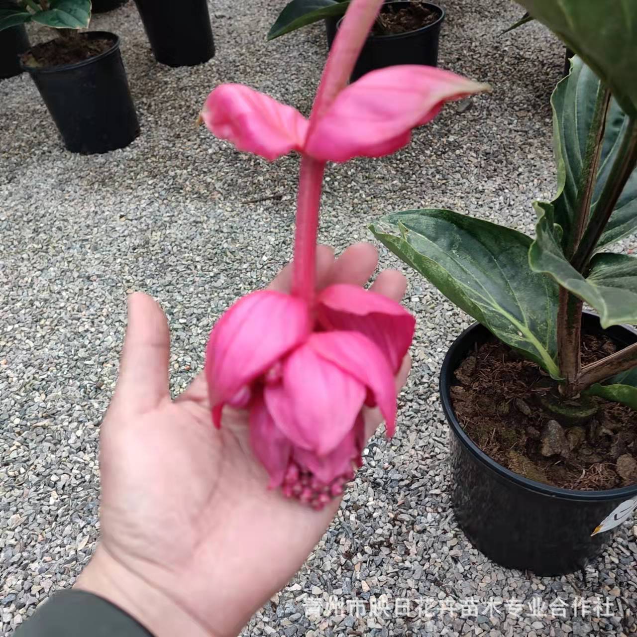 48a15e4e7aef5e2956b735012d4b29