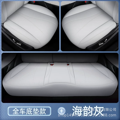Car-Specific Seat Cover Supplies, Modelə uyğun (Original) oturacaq örtükləri - upgraded-invisible-style-haisi-06-sea-breeze-grey-full-car-floor-mats-no-specifications