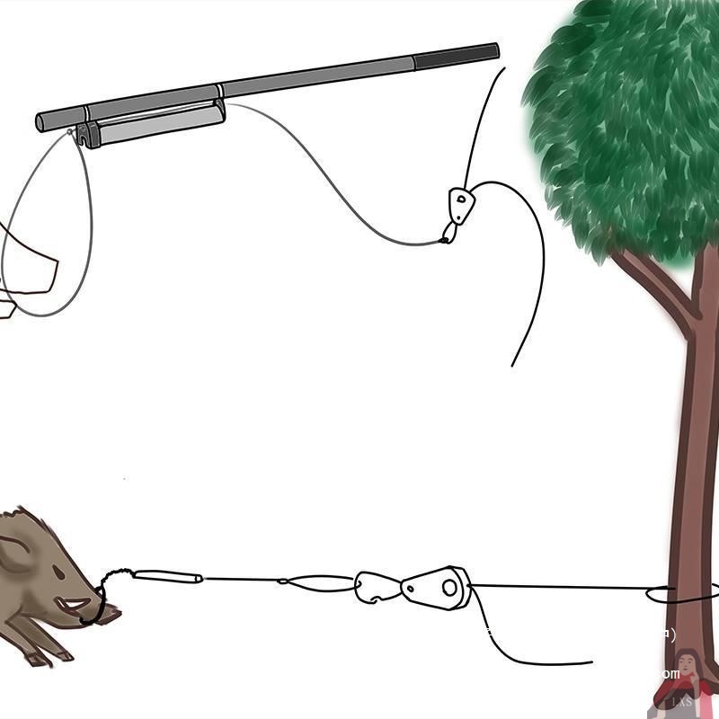 套猪嘴钢丝绳猪嘴套日本同款防咬全自动抓猪套嘴套猪器兽用其他