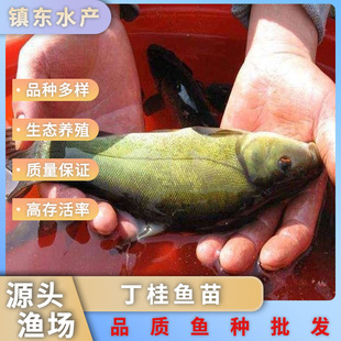 ~烞|ˮBֳƷ~rʸ߻wl