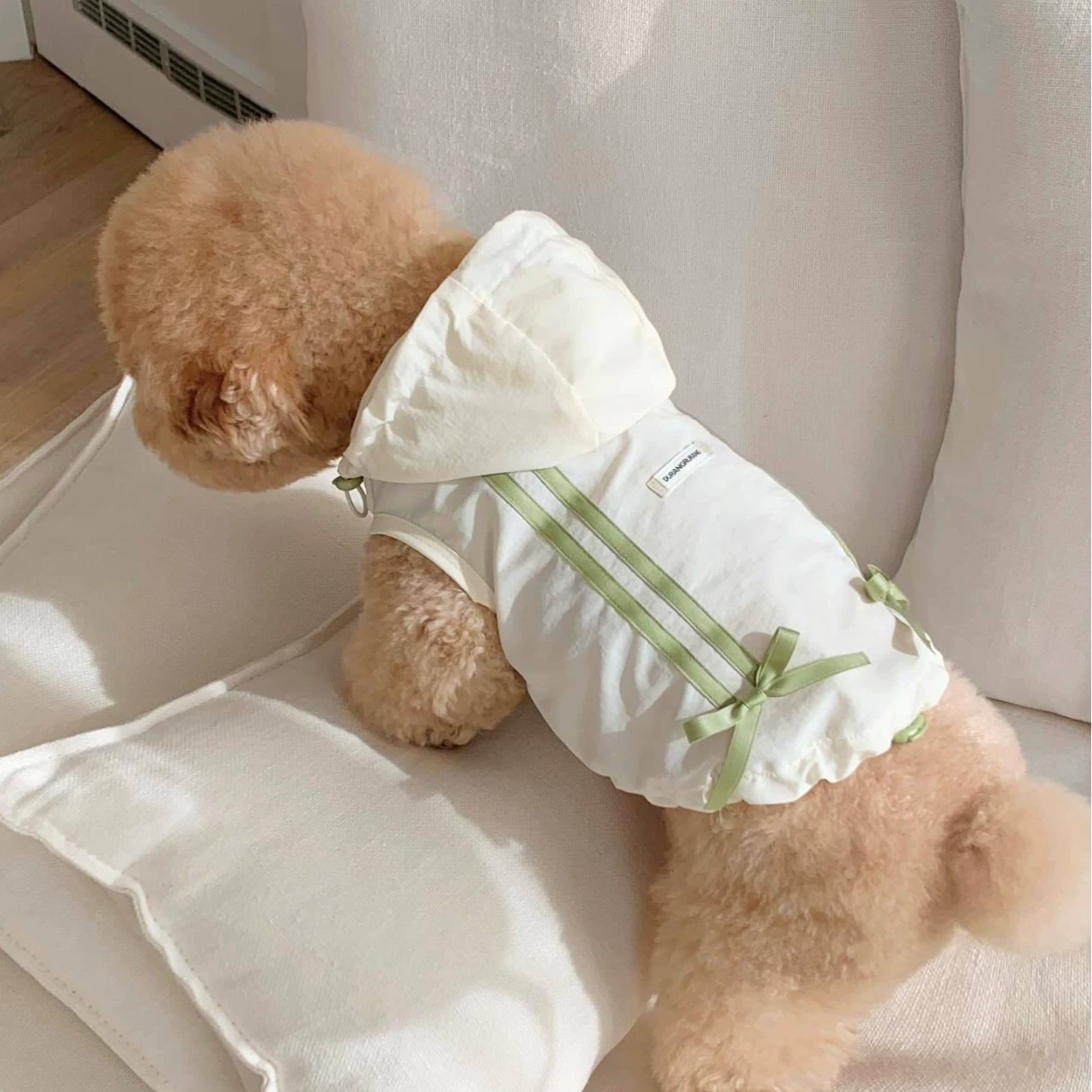 Одежда для домашних собак с капюшоном, лентой, бантом, толстовкой, Тедди Бишон Шнауцер, маленьких собак и кошек, весенне-осенний стиль.