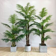 定制仿真棕榈葵多杆散尾葵细竹葵家居室内落地假绿植装饰摆件
