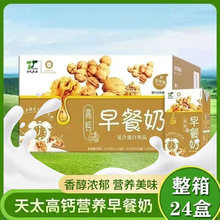 天太乳业高钙核桃早餐奶250ml装过节送礼饮品饮料24盒整箱批发