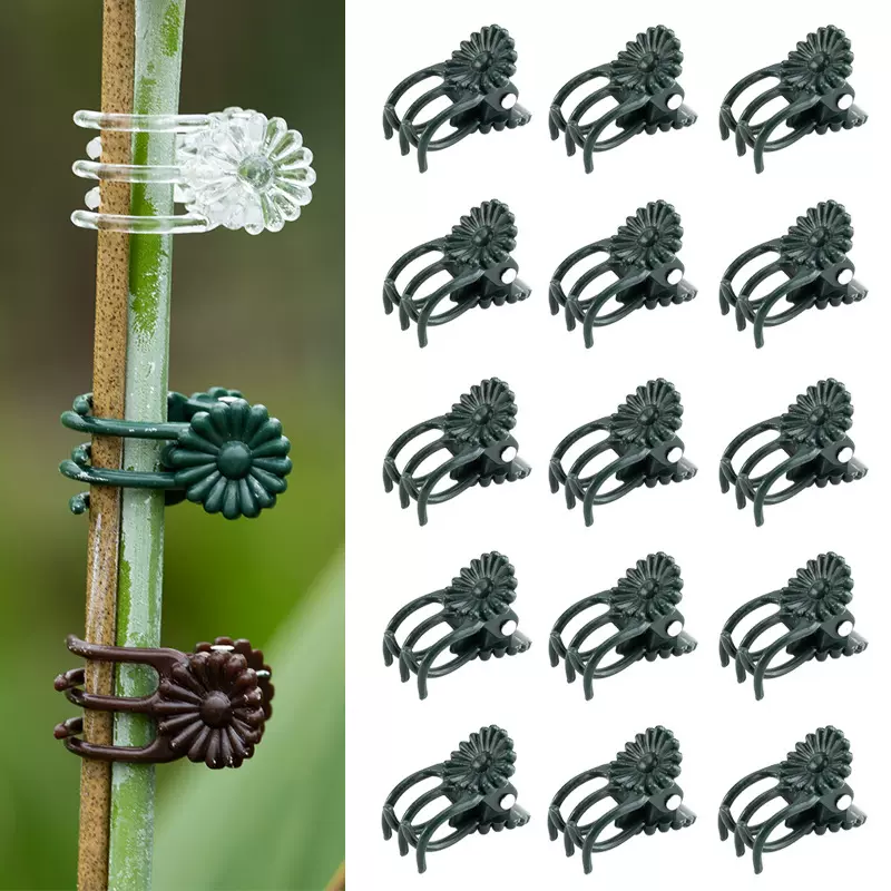 蝴蝶兰夹子植物支撑夹兰花固定小夹子花卉支架支撑杆爬藤园艺定型
