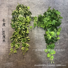 ����ڒ��ٗl ɭϵֲ��ڒ� �ٗl�����b��Gֲ�� �����ع��~