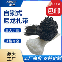 ���iʽ�����������Ƹ��N�ɫ�������������I�����l���펧��������