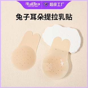 �������´����z���N�̑B����͸�������N͸��o���[���؉|